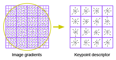 gradient-descriptor.png